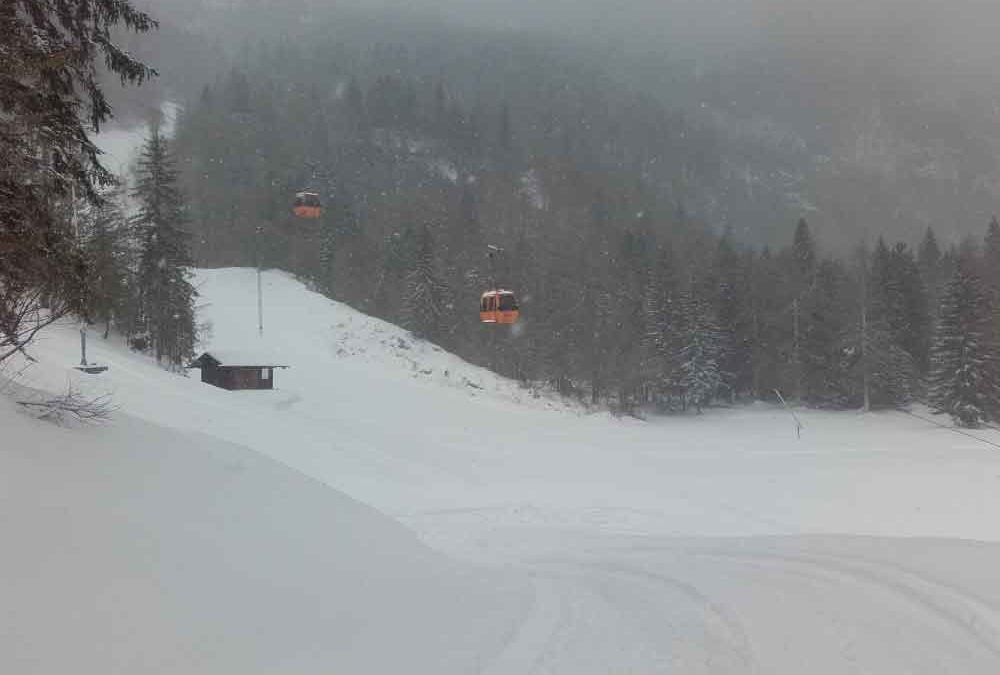 Manutenzione poli sciistici Regione FVG – Piancavallo, Forni di Sopra, Sella Nevea